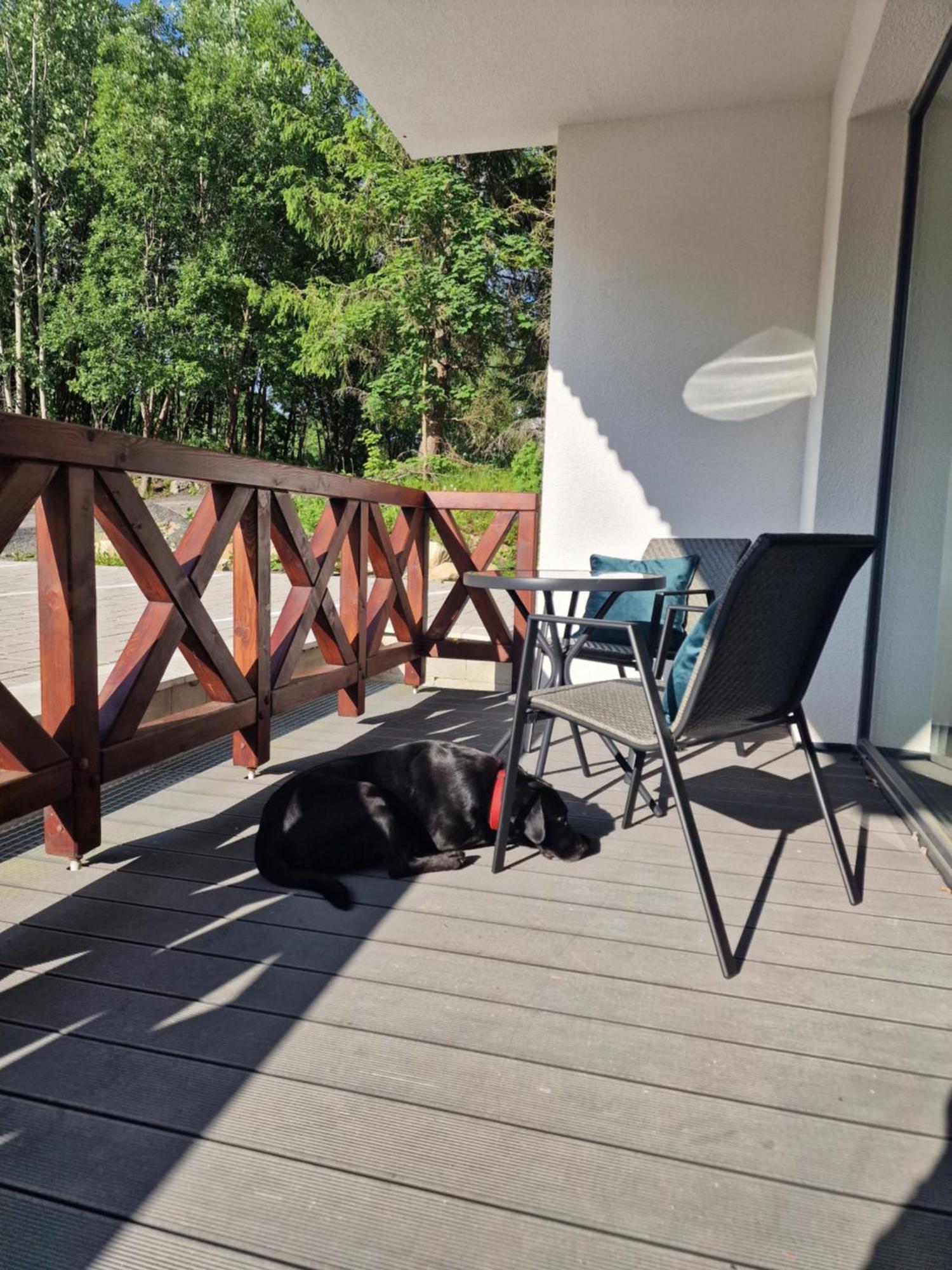 Hellene Snow Stary Smokovec Apartment วิสโซเค ดาตรี ภายนอก รูปภาพ
